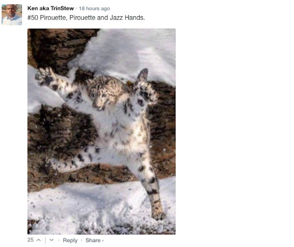 Funny Comments (67 pics)