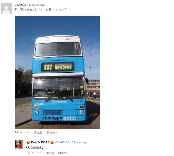 Funny Comments (67 pics)