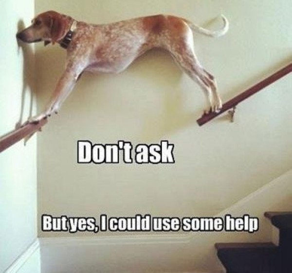 Hilarious Memes (33 pics)