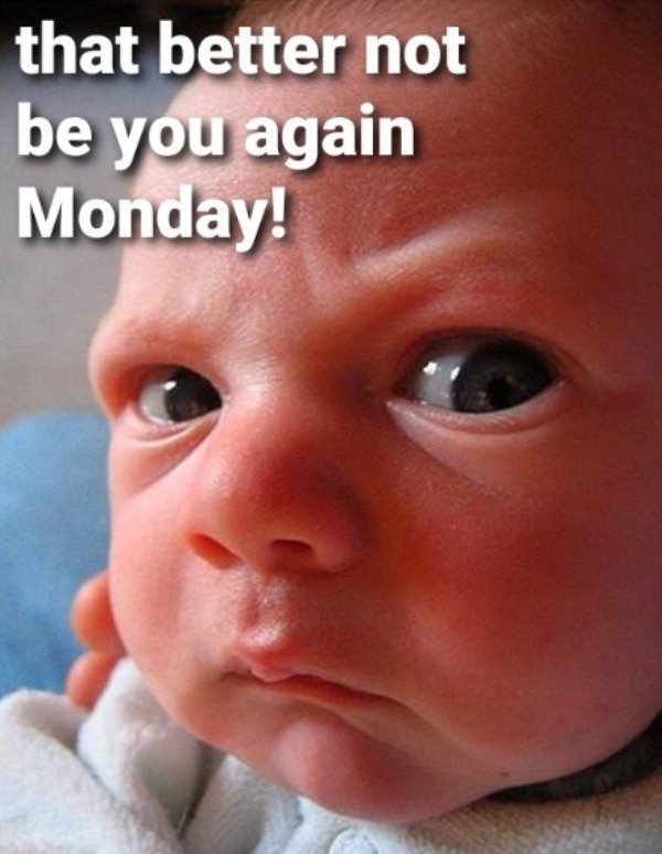 Hilarious Memes (33 pics)