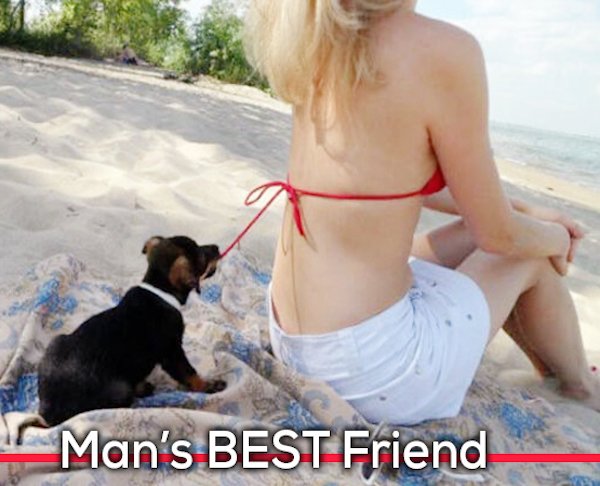 Hilarious Memes (33 pics)