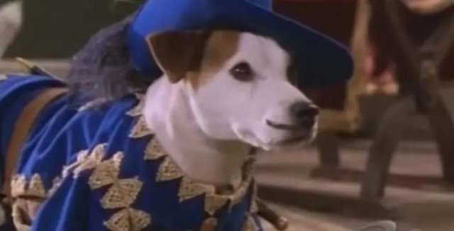 90's TV Show Facts (19 pics)