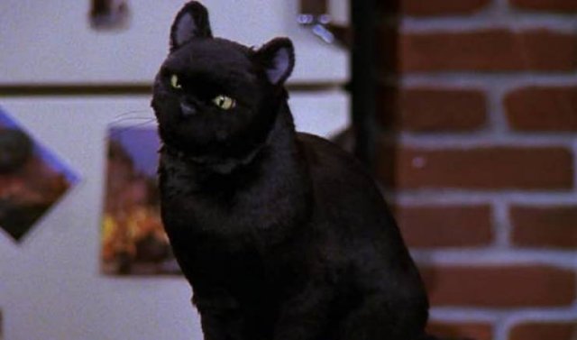 90's TV Show Facts (19 pics)