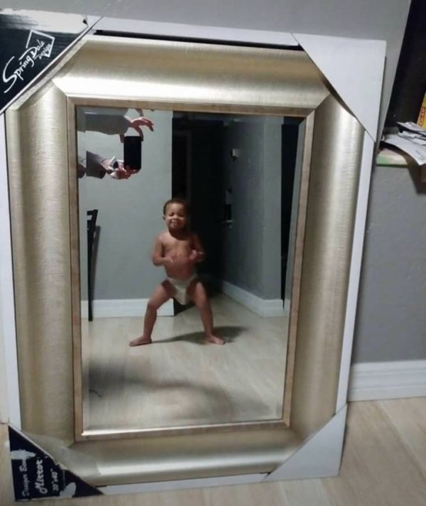 People Weird Tries To Sell Mirrors (30 pics)