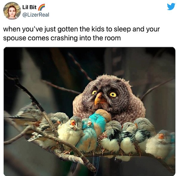 Married Life Tweets (29 pics)