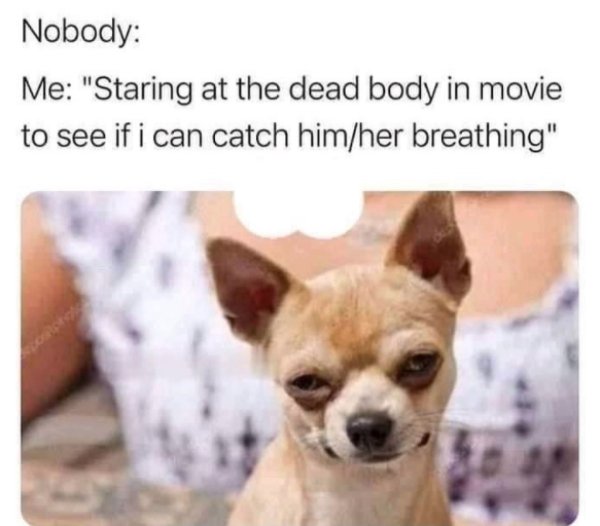 Movie Memes (25 pics)