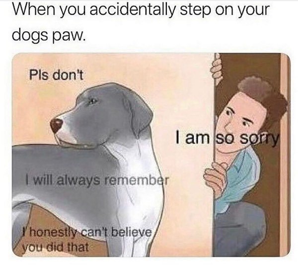 Dog Memes (33 pics)