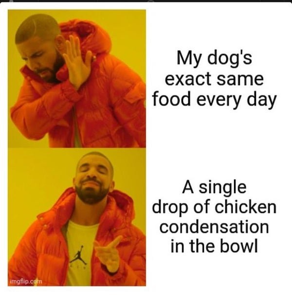 Dog Memes (33 pics)