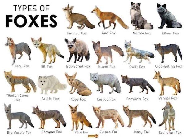 Interesting Data (24 pics)