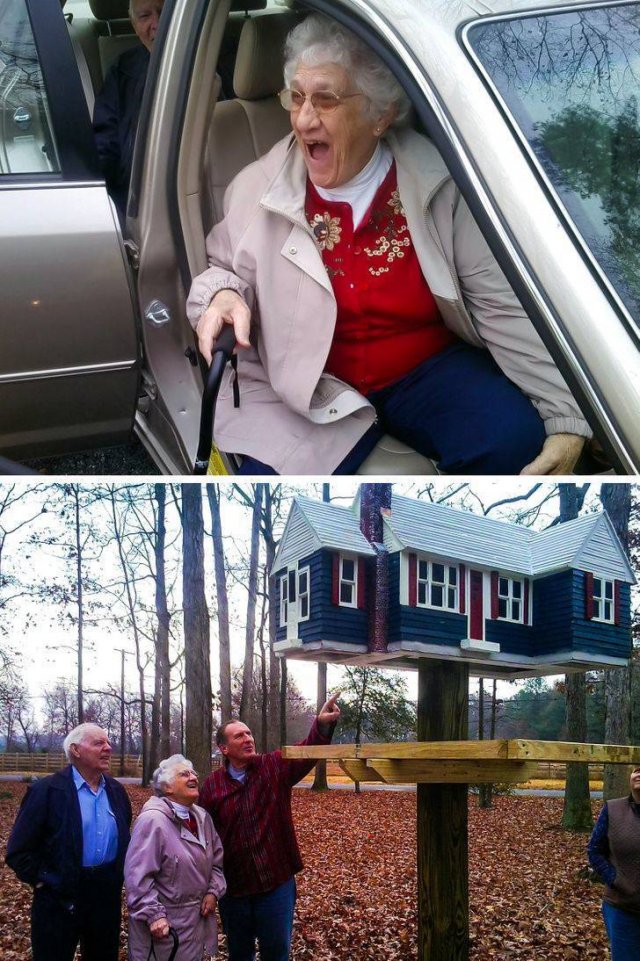 Wholesome Stories (14 pics)
