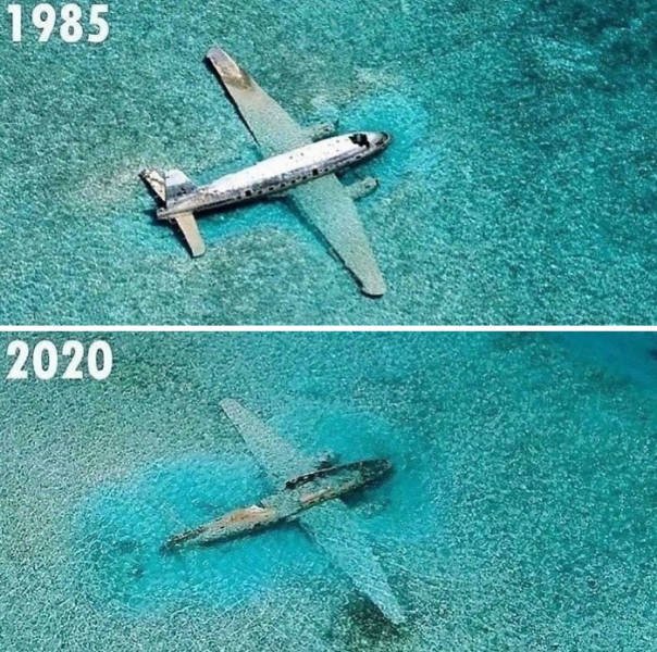 World's Changes Over The Centuries (40 pics)