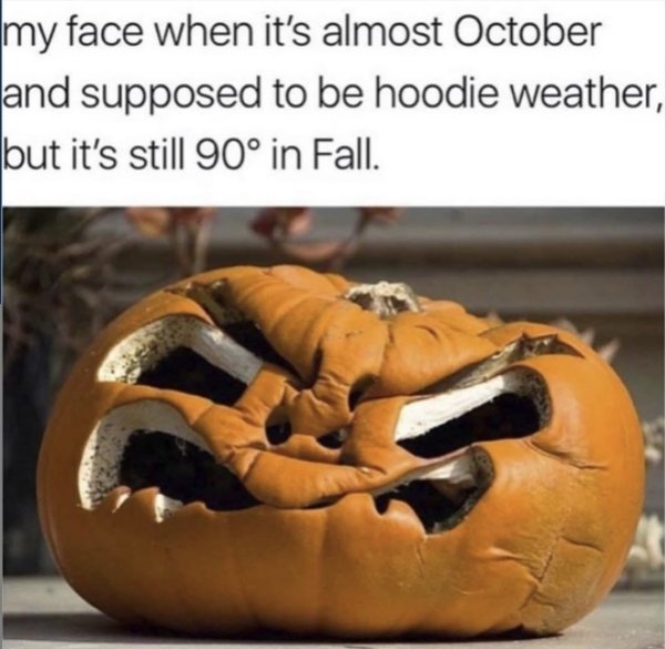 Halloween Memes (27 pics)