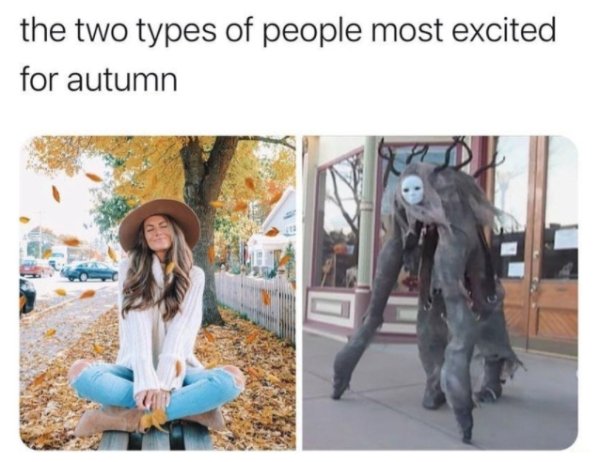 Halloween Memes (27 pics)