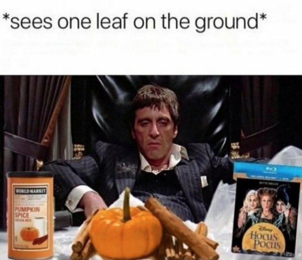 Halloween Memes (27 pics)