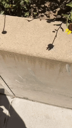 Acid Gifdump, September 29 (25 gifs)