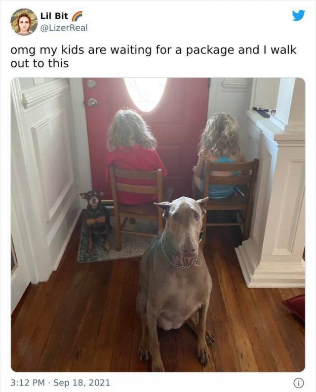 Parenting Tweets (50 pics)
