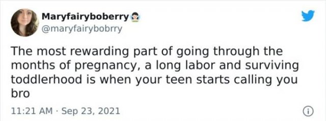Parenting Tweets (50 pics)