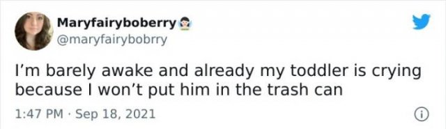 Parenting Tweets (50 pics)