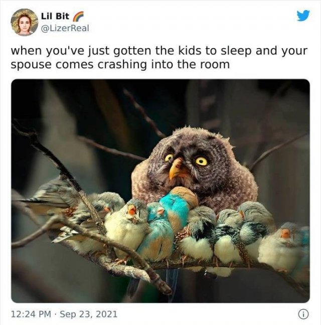 Parenting Tweets (50 pics)