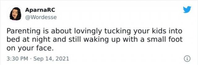 Parenting Tweets (50 pics)