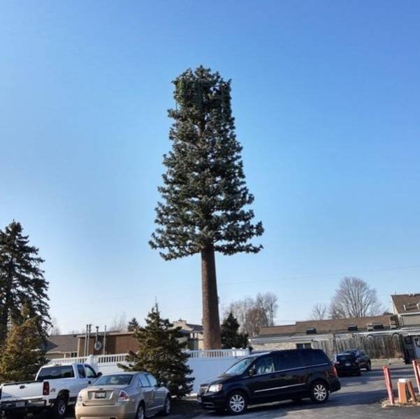 Inside Everyday Objects (18 pics)