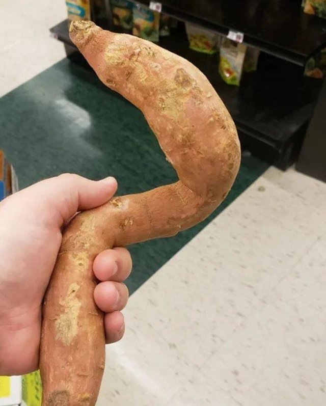 Bad Days Happen (20 pics)