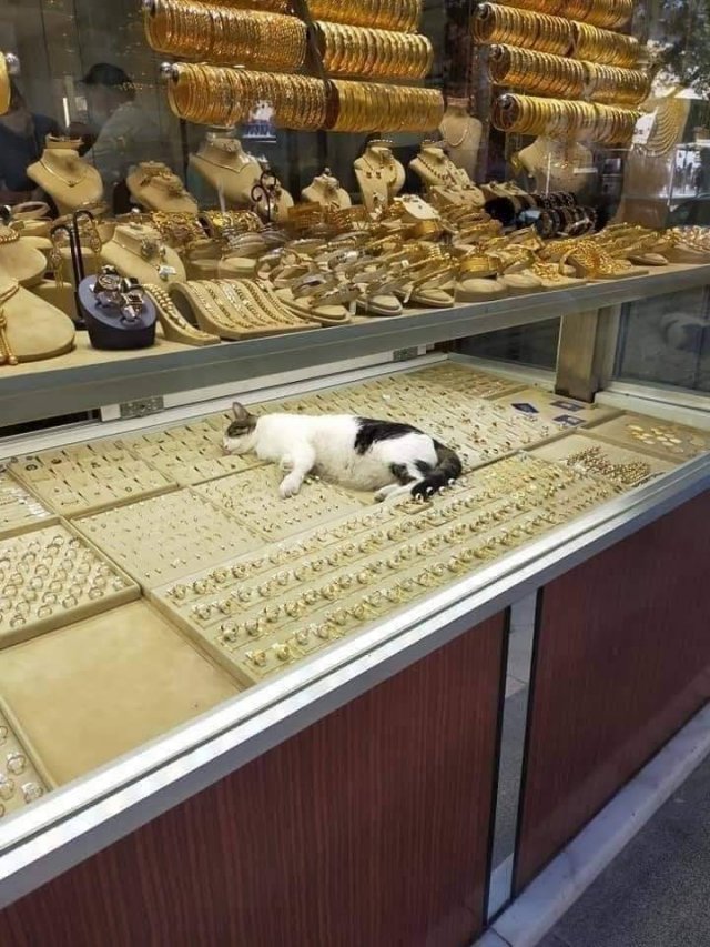 Acid Picdump 2 (89 pics)