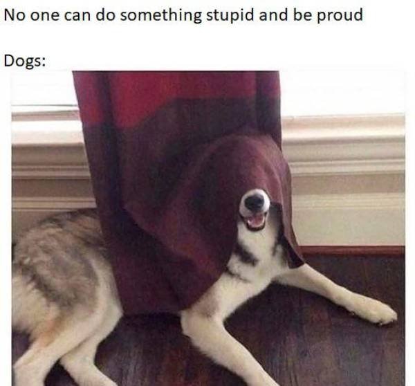 Acid Picdump 2 (89 pics)