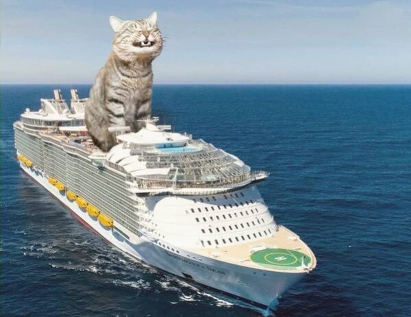 Hilarious Cats (30 pics)