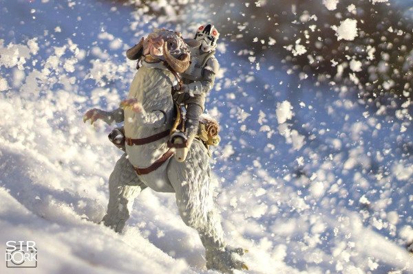 Toy Photographer (36 pics)