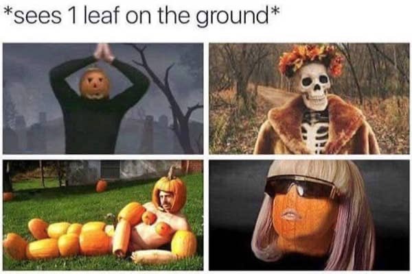Fall Memes (27 pics)