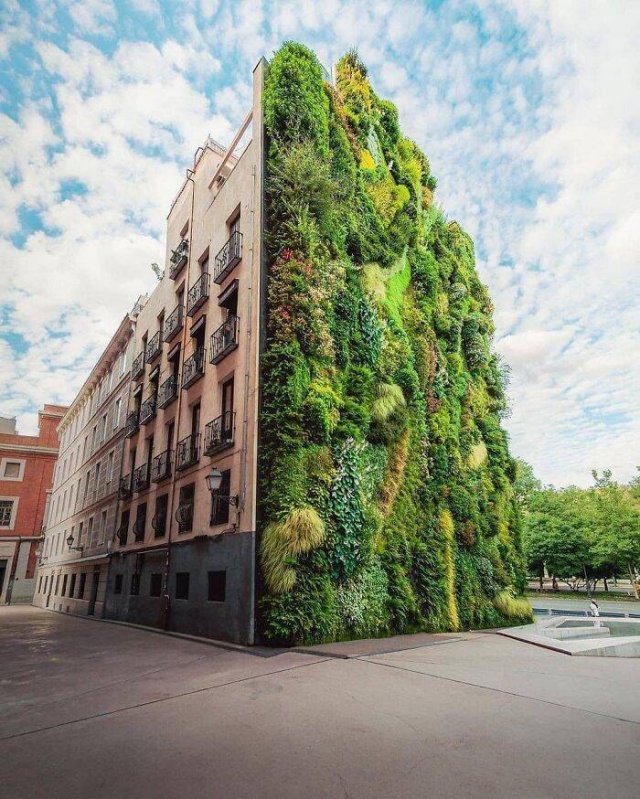 Amazing Architecture (49 pics)
