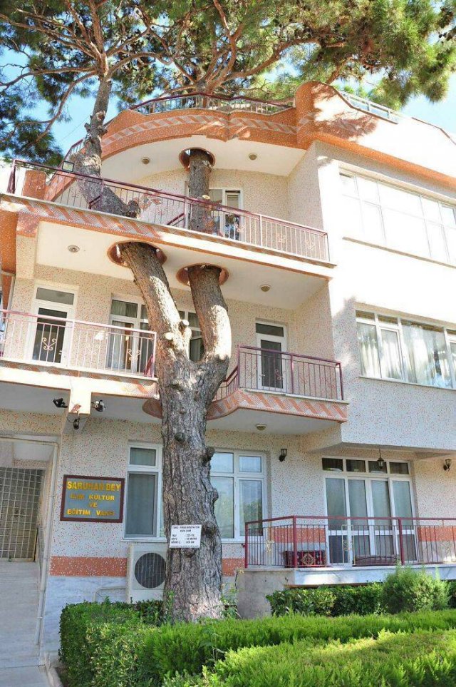 Amazing Architecture (49 pics)