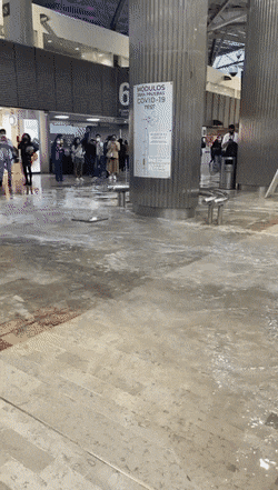 Acid Gifdump, October 4 (25 gifs)