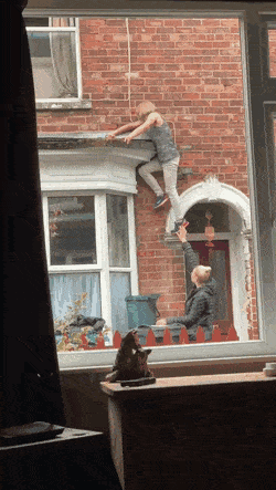 Acid Gifdump, October 4 (25 gifs)