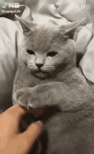 Acid Gifdump, October 4 (25 gifs)