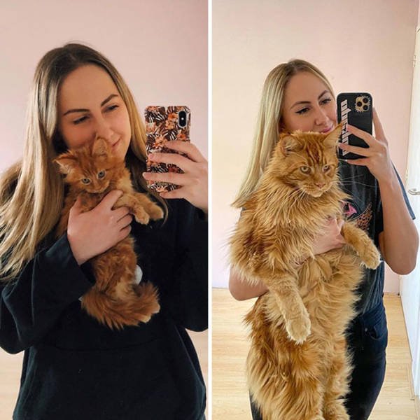 Comparison Matters (39 pics)