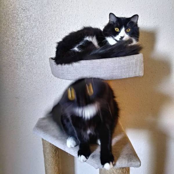 Comparison Matters (39 pics)