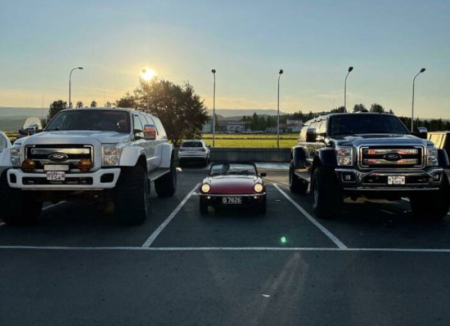 Comparison Matters (39 pics)