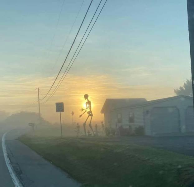Acid Picdump 2 (85 pics)