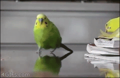 Things People Learned Way Too Late (18 gifs)