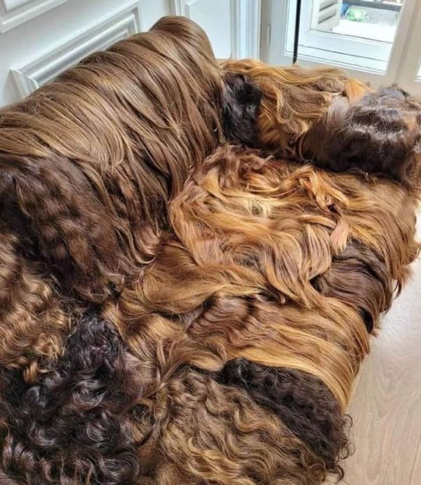 OMG Pictures (34 pics)