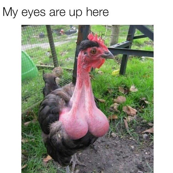 So True (34 pics)