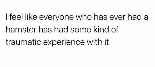 So True (34 pics)