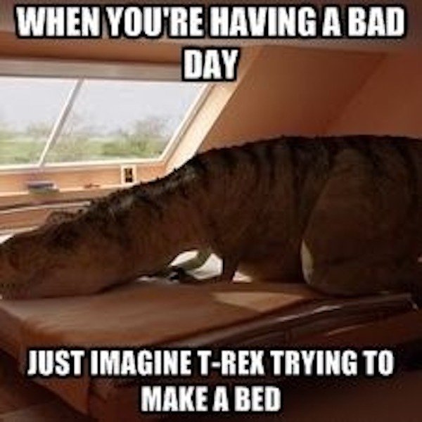 So True (34 pics)