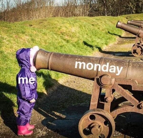 So True (34 pics)