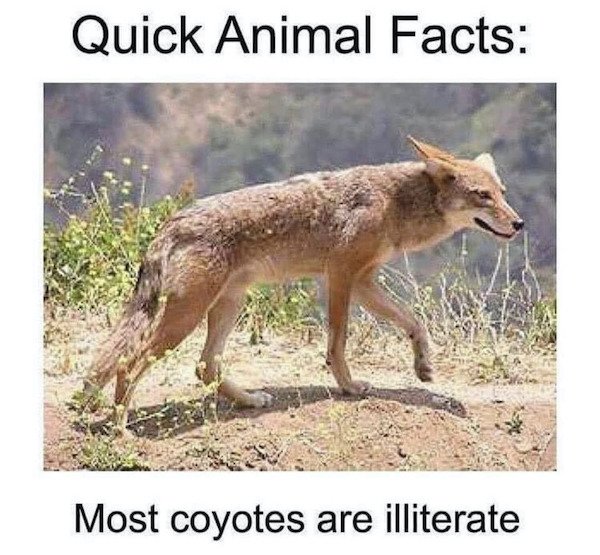 So True (34 pics)