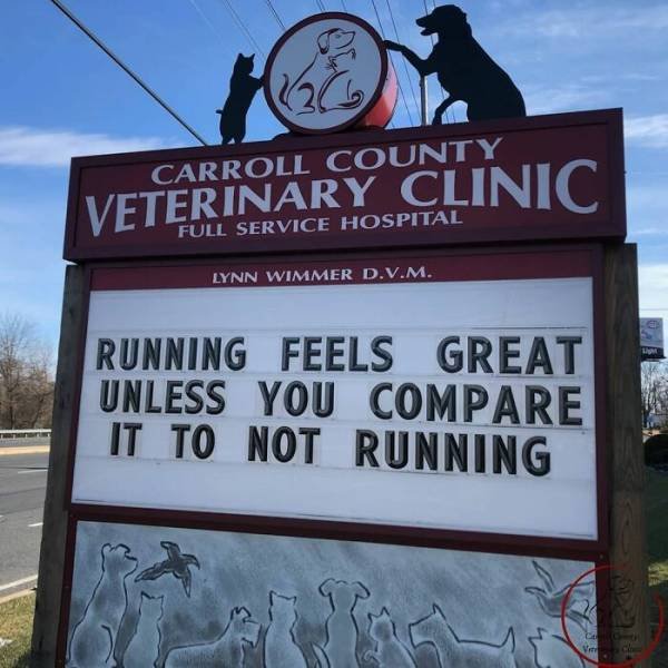 The Carroll County Veterinary Clinic Signs (30 pics)