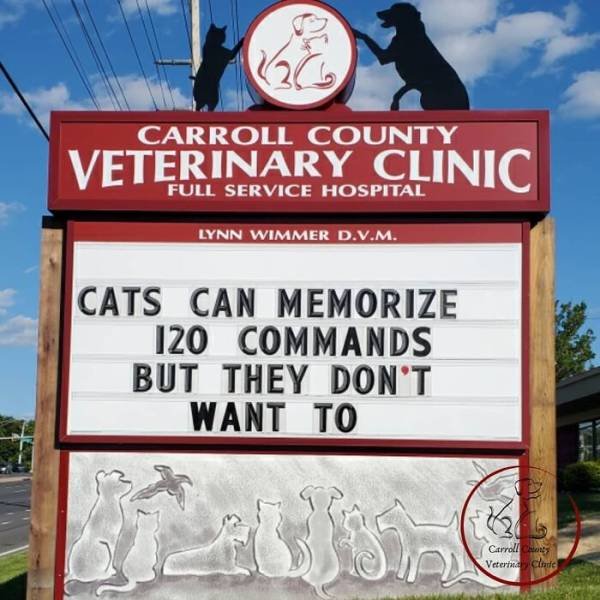 The Carroll County Veterinary Clinic Signs (30 pics)