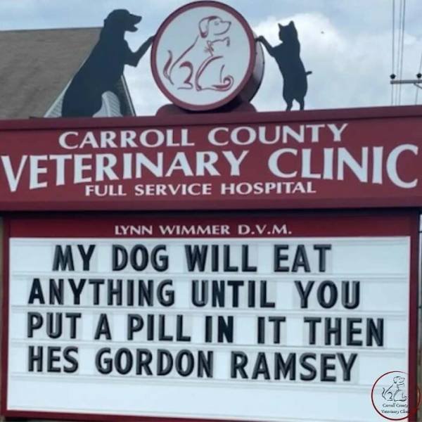 The Carroll County Veterinary Clinic Signs (30 pics)